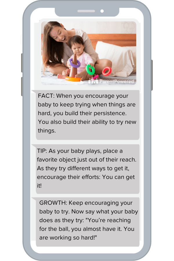 Persistence - Infant